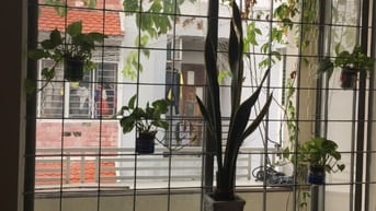 Cần 2 nữ nhân viên, sinh viên ở ghép