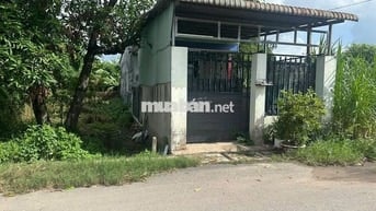 Bán đất 160m2 giá 700 triệu đường nhựa Trung Lập xã Thái Mỹ TP.HCM SHR