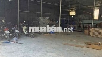 Cho Thuê Kho/Xưởng 1000m, Mặt Tiền 6m, Xe Tải Vào Tận Nơi