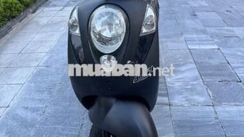 SYM Elite 50 49.5cc Đen sần