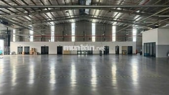 👉Cho thuê xưởng DT 1200m Đường xe COTENER 