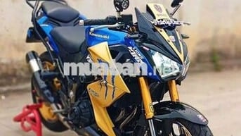 Kawasaki Z300