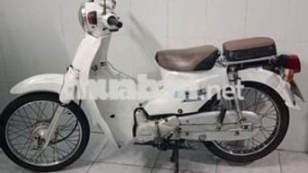 Honda Cub 50 