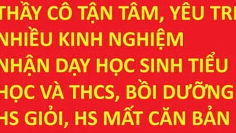 Thầy cô nhiều kinh nghiệm, yêu trẻ, tận tâm nhận dạy tiểu học và THCS