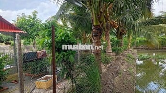 Cần bán gấp căn nhà + đất 2000