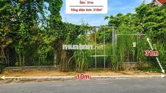 bán đất Nguyễn Du 310m2 giá 780tr
