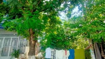 🔥 75m2- ĐẤT MÂN QUANG 1 – NGANG 5,5M – ĐƯỜNG 5,5M – SƠN TRÀ 🔥