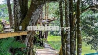 Biệt Thự sàn 415m2- suôn rộng Đặng Thuỳ Trâm; BT- HCM