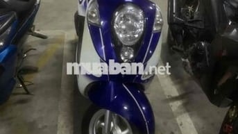 SYM Elite 50cc Trắng Xanh Học sinh