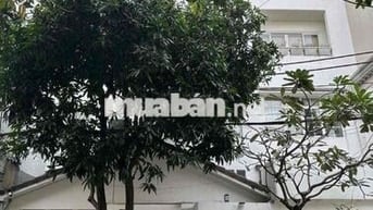 Cho thuê mt nội bộ Bàu Cát 12x17 - 3 lầu 90tr