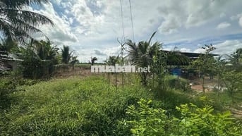 Bán đất Định Hoà cũ (Phong Hoà mới)