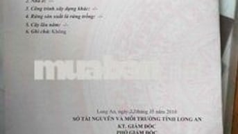 CẦN BÁN ĐẤT ĐẸP – HẺM NGUYỄN MINH TRƯỜNG