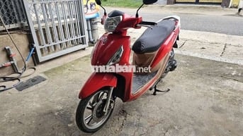 SYM Shark Mini 2023 Đỏ Zin êm ru mới đẹp