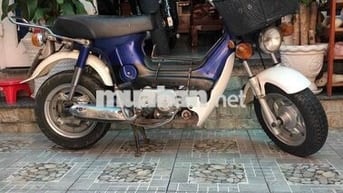 Honda Chaly 50cc Xanh Trắng