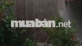 Bán đất có nhà c4 tại tân dân, an lão