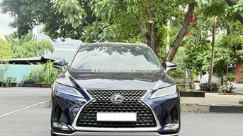 Lexus RX300 2022