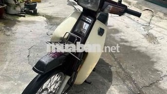 Honda Dream II Thái - Tem Hồng - 7 số