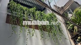 3 PN NGAY TÔN THẤT TÙNG - SÂN THƯỢNG - QUẬN 1 - CHỈ 19 TRIỆU/THÁNG