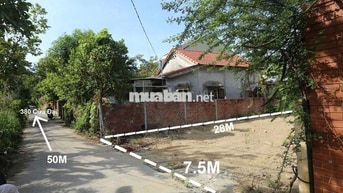 Đất trung tâm Hội An, Cẩm Châu khu vực kinh doanh dịch vụ ~200m2.
