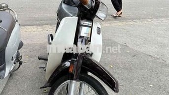 Honda Dream Thái Nâu, Trắng