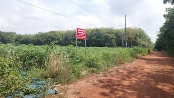 Công ty đấu giá hợp danh Sao Việt 