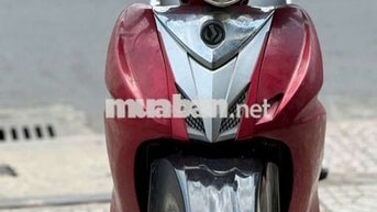  SYM 100c Rất êm 