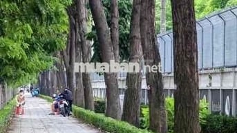 cho thuê kho hoặc văn phòng ngang 9m mặt tiền Quang Trung giá 5tr