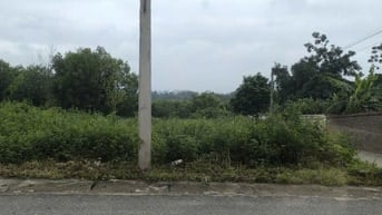 BÁN ĐẤT THÔN NGỌC NHỊ XÃ CẨM LĨNH CŨ (XÃ BẤT BẠT)- HÀ NỘI