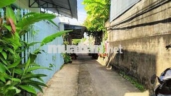 bán nhà gần hồ nước ngọt, gần chợ bông sen.