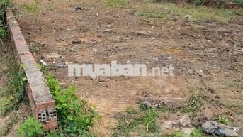 Bán đất mặt tiền đường nhựa 8 m