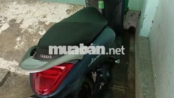Yamaha Janus Đen Xăng