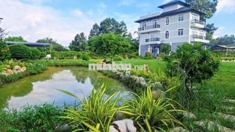 Biệt thự vườn mặt tiền Tỉnh lộ 7-Thái Mỹ-Củ Chi.Dt 2550m2~4 tấm~15ty