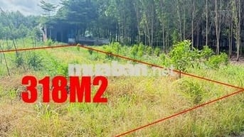 ĐẤT RỘNG 318m² TẠI AN VIỄN - TRẢNG BOM