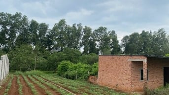 Công ty đấu giá hợp danh Sao Việt 
