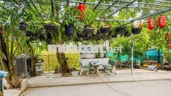 Đất nền SHR 1/Xuân Thới Thượng 32-Hóc Môn.Dt 10x31~308m2~8,3ty