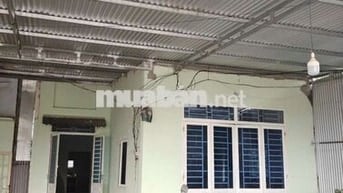 đất vườn có 300m2 thổ cư cây ăn trái