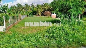 Ngay KCX Linh Trung 3, Lô đất 330m2 (7x45), 850 triệu, sổ riêng