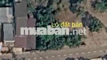 🌳 CHÍNH CHỦ BÁN ĐẤT ĐẸP THÔN TỰ THÀNH – PHƯỜNG EA KAO, ĐẮK LẮK