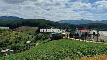 Cần bán đất Tà Nung, Tp Đà Lạt, Lâm Đồng