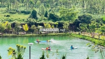 Kẹt tiền bán gấp Lô Đất khu Làng Omm, phường 2 Bảo Lộc