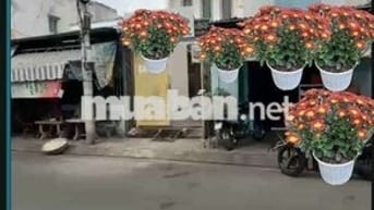 Cho thuê nhà Mặt tiền Mai Hắc Đế, P15,Q8 4x22 4 tấm 3 phòng 