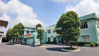 Cho Thuê Mặt Bằng : Trần Văn Dư, Phường 13, Quận Tân Bình.