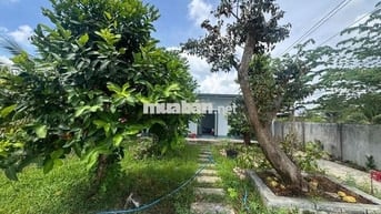 Đất nhà mặt tiền,full dừa xiêm,gần KCN và Cao tốc 33