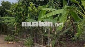 Bán 1.000m² đất 2 mặt tiền tại Xuân Thiện, Thống Nhất, Đồng Nai