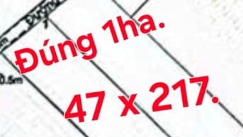 Bán 1 ha đất MT đường 5m, Lý Nhơn nối dài, xã Lý Nhơn Cũ, Cần giờ