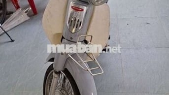 Daelim Cub Xám