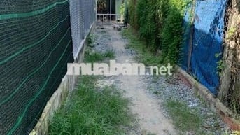 bán đất thổ cư 2 lô liền kề có sổ riêng