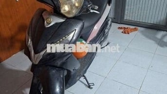 Shark VVB 124cc 2010 Đen