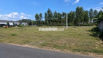 BÁN ĐẤT THỔ CƯ BIÊN HÒA CHÍNH CHỦ 80M2 - 1,2 TỶ 