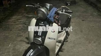 Honda Scoopy 50cc Đen trắng
